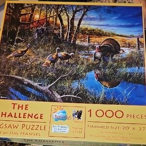 1000-Piece Jigsaw Puzzle - "The Challenge"